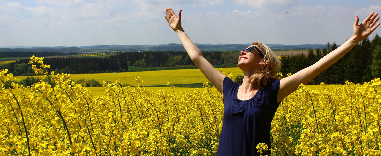 Gospel of Mark Bible Study About Hero Image